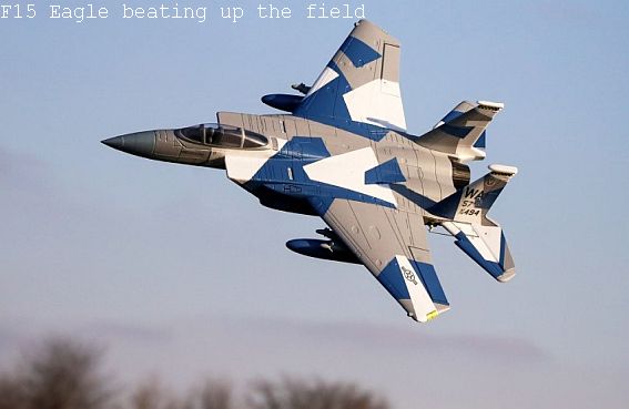 F15-Eagle-EDF-Small
